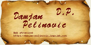 Damjan Pelinović vizit kartica